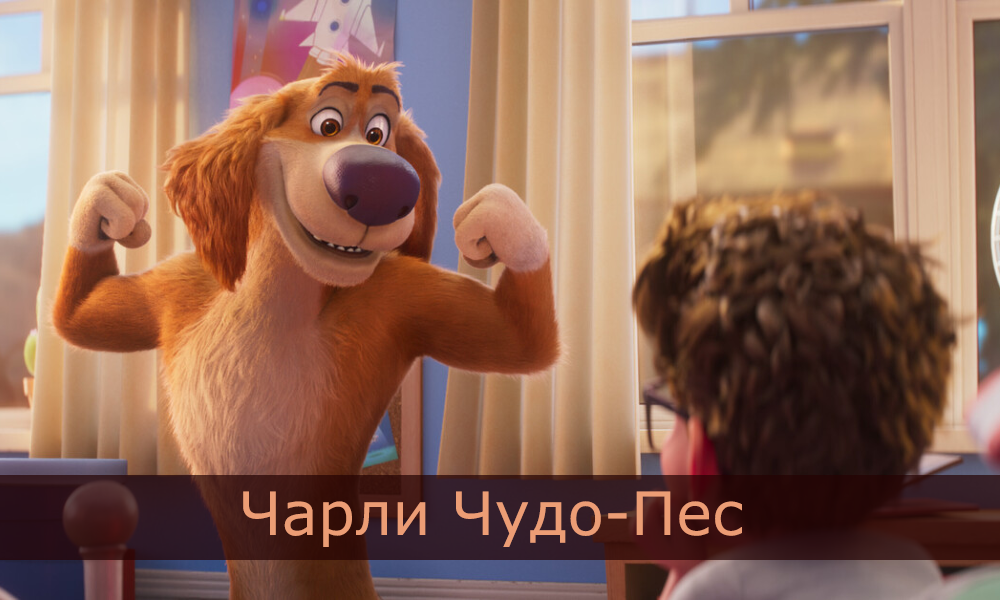 Чарли Чудо-Пес