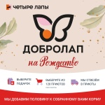 Благотворительная программа сети зоомагазинов Четыре Лапы!